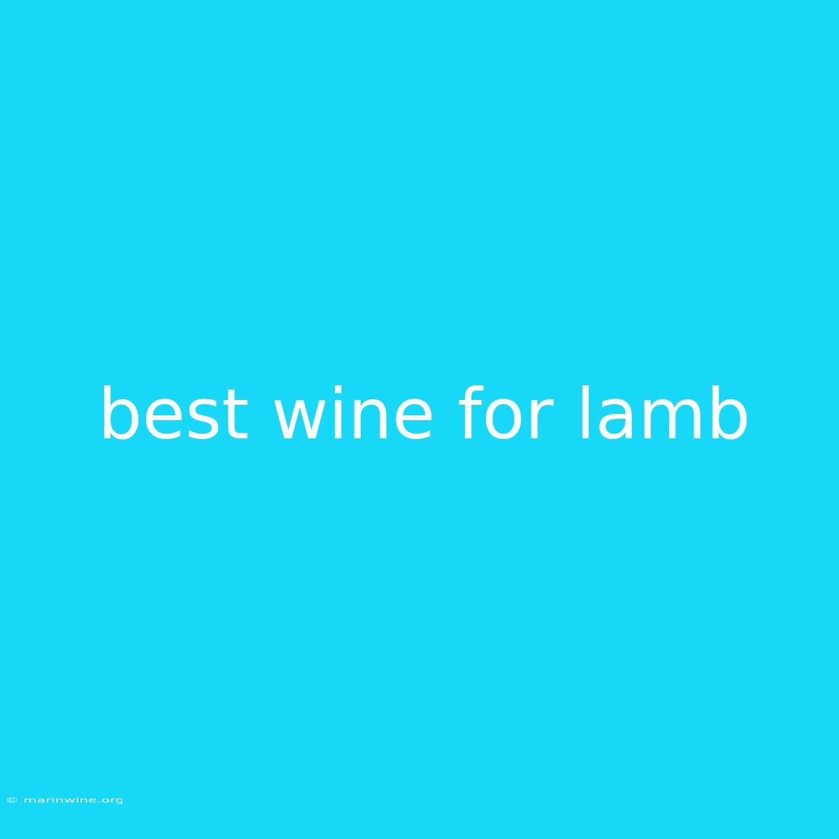 Best Wine For Lamb