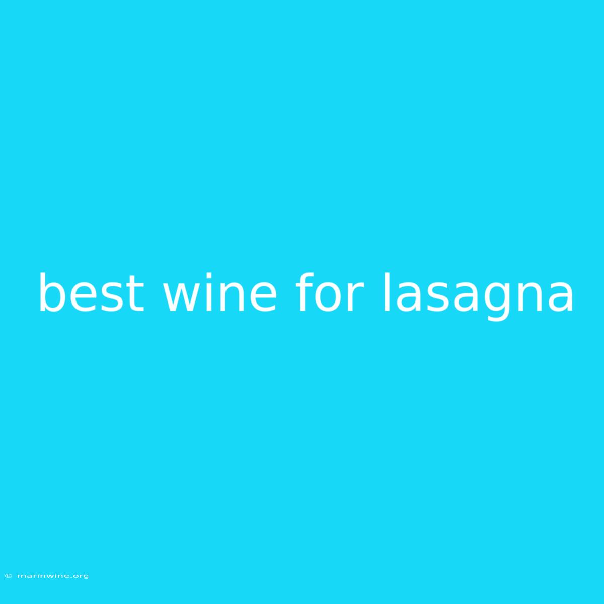 Best Wine For Lasagna