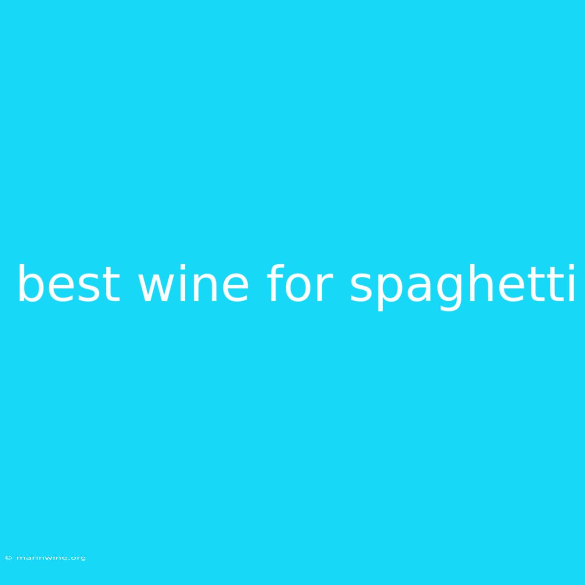 Best Wine For Spaghetti