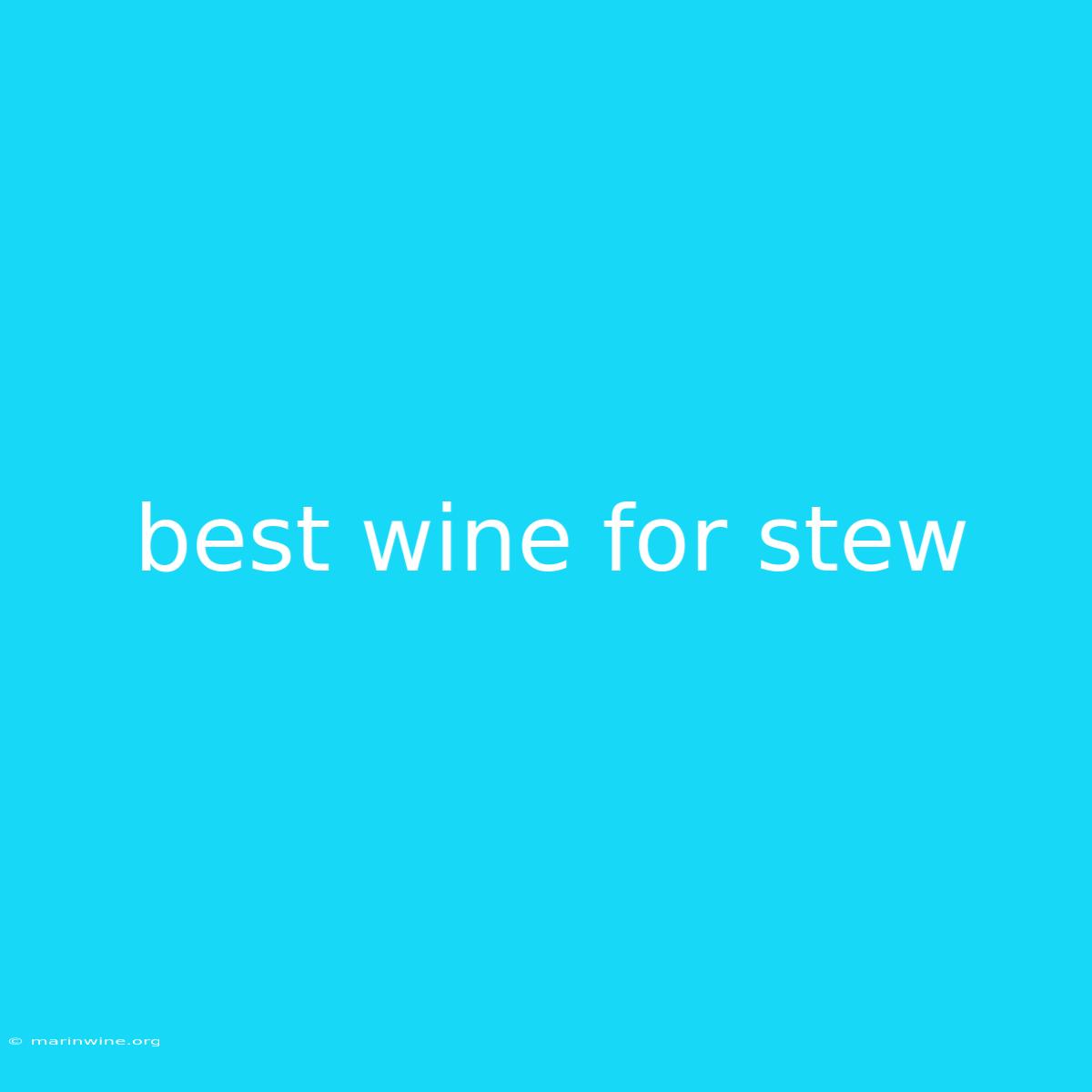 Best Wine For Stew