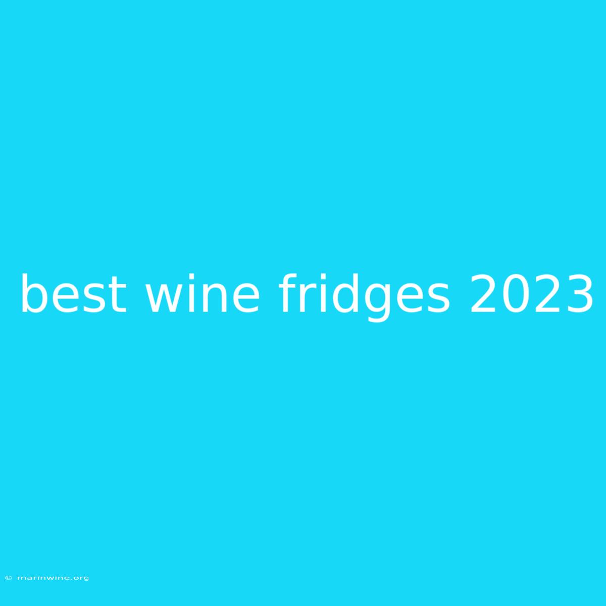 Best Wine Fridges 2023