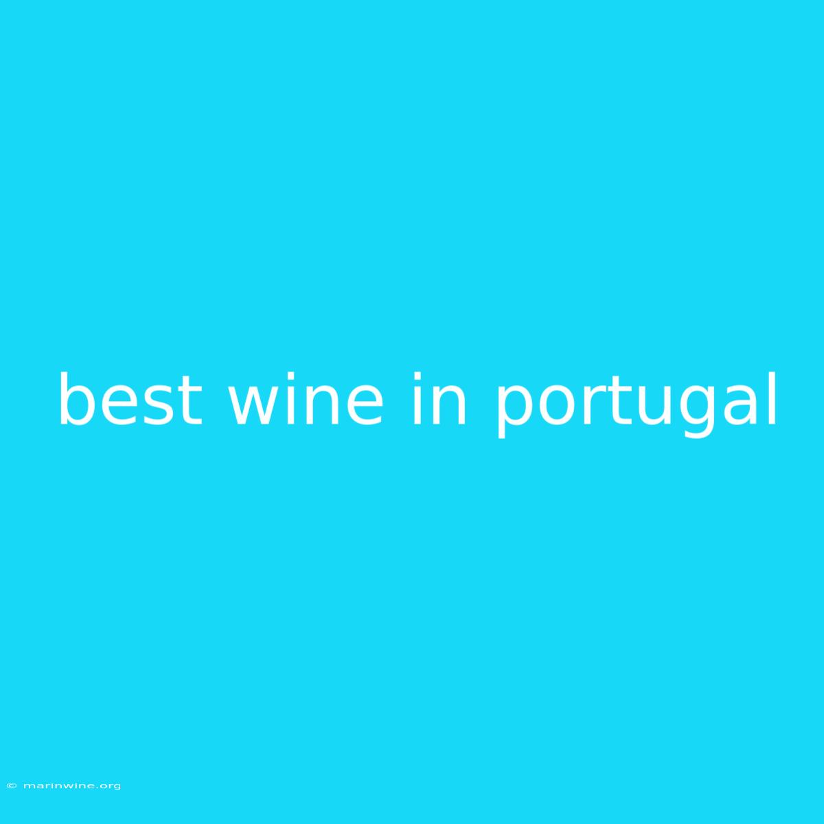 Best Wine In Portugal