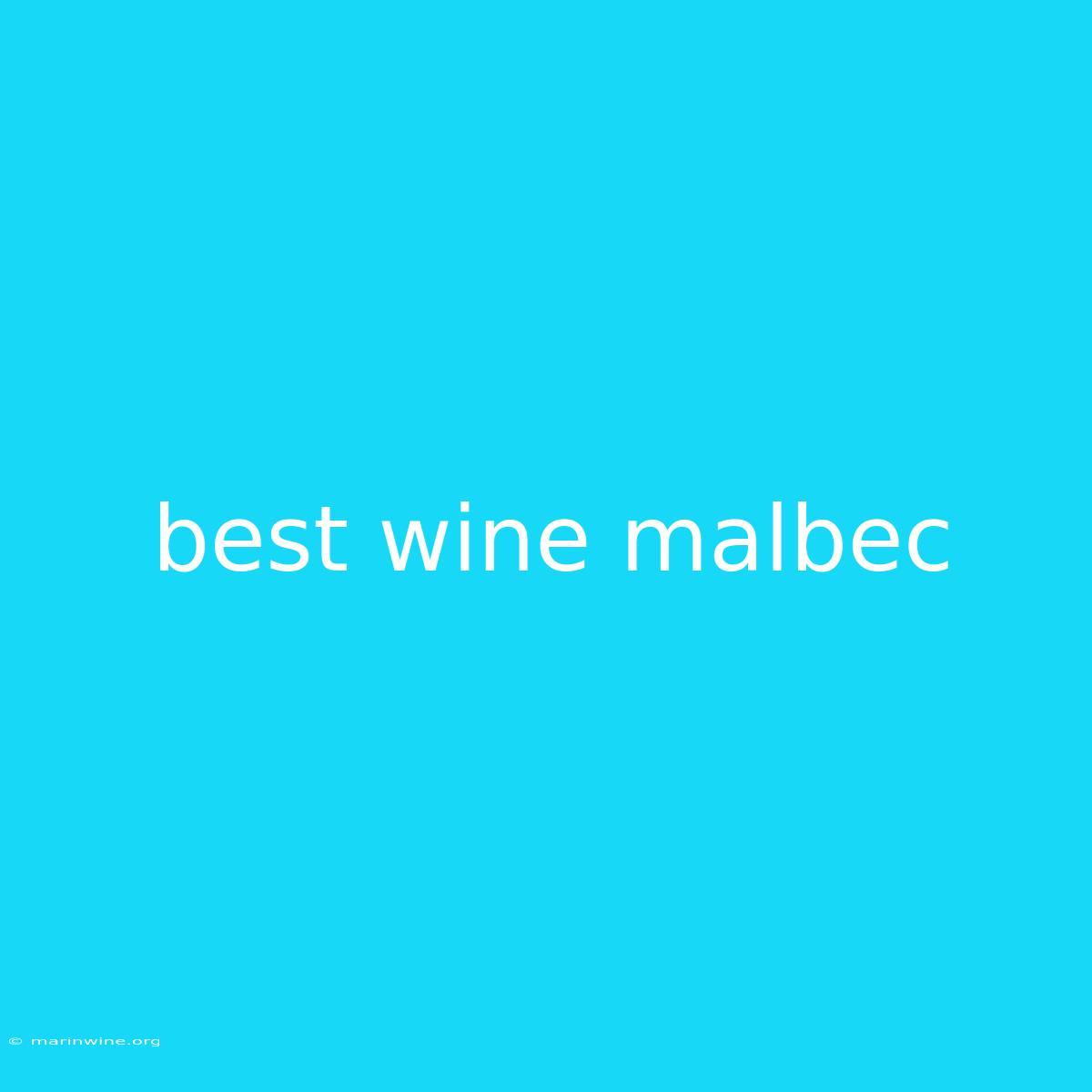 Best Wine Malbec