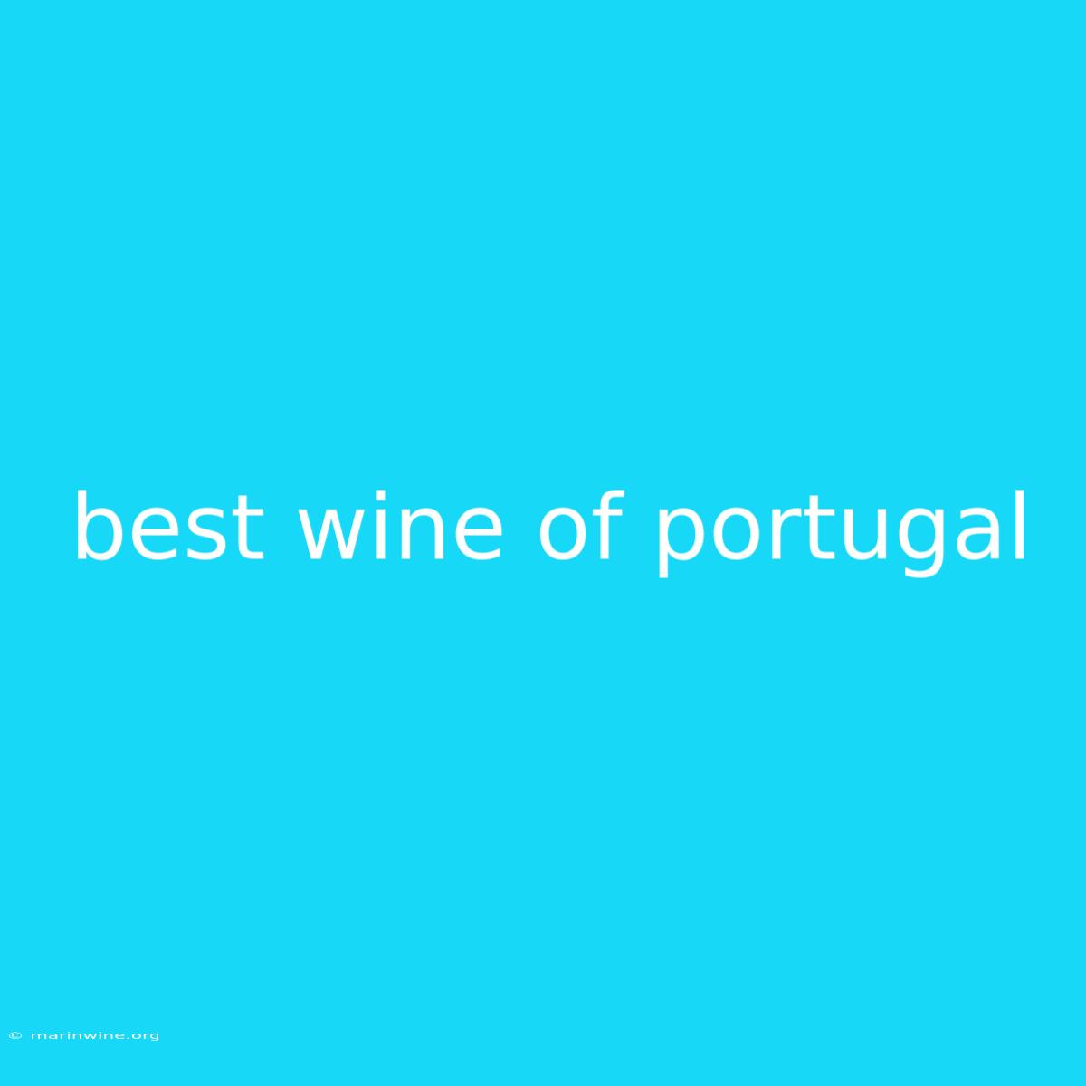 Best Wine Of Portugal