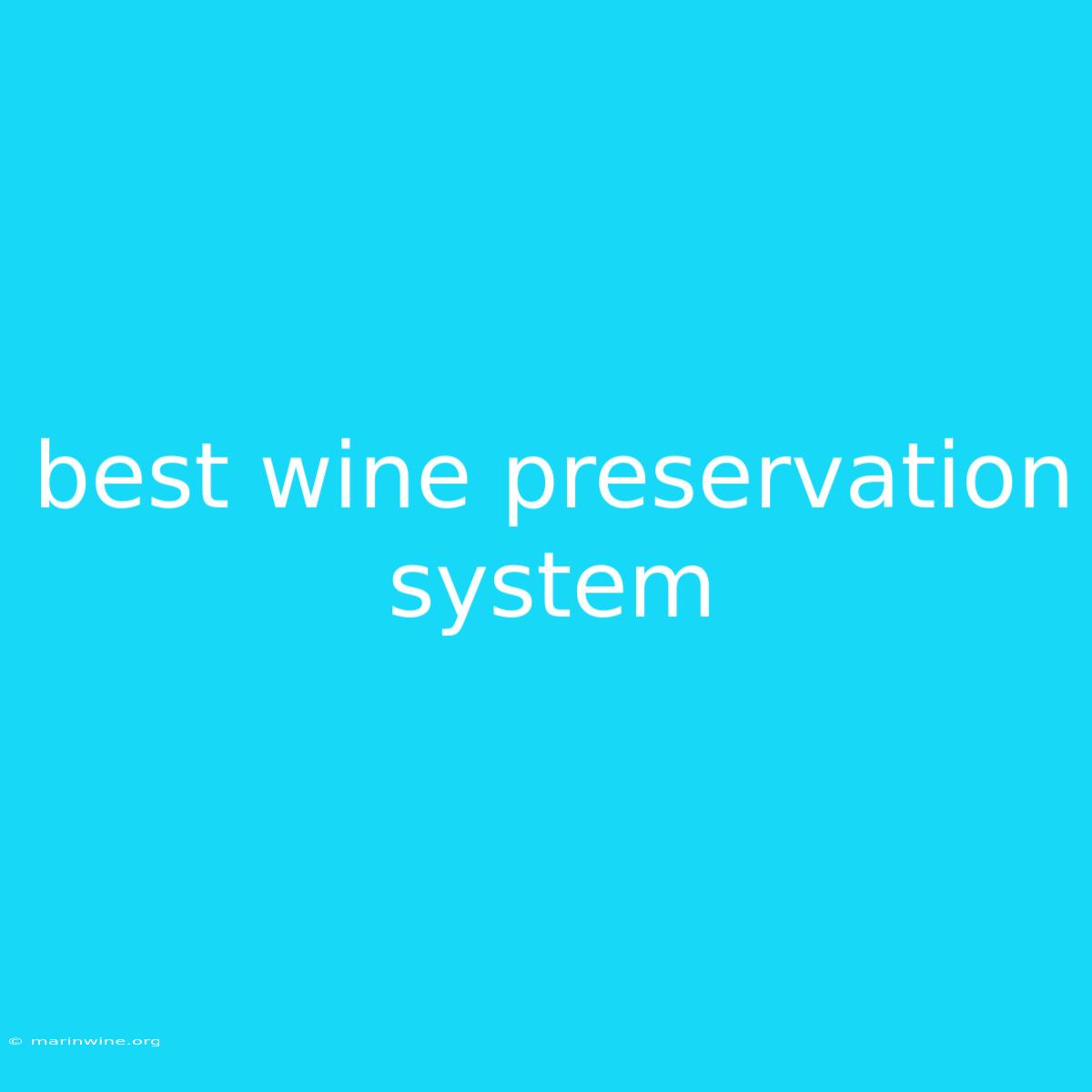 Best Wine Preservation System