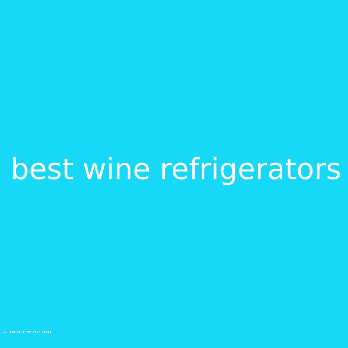 Best Wine Refrigerators