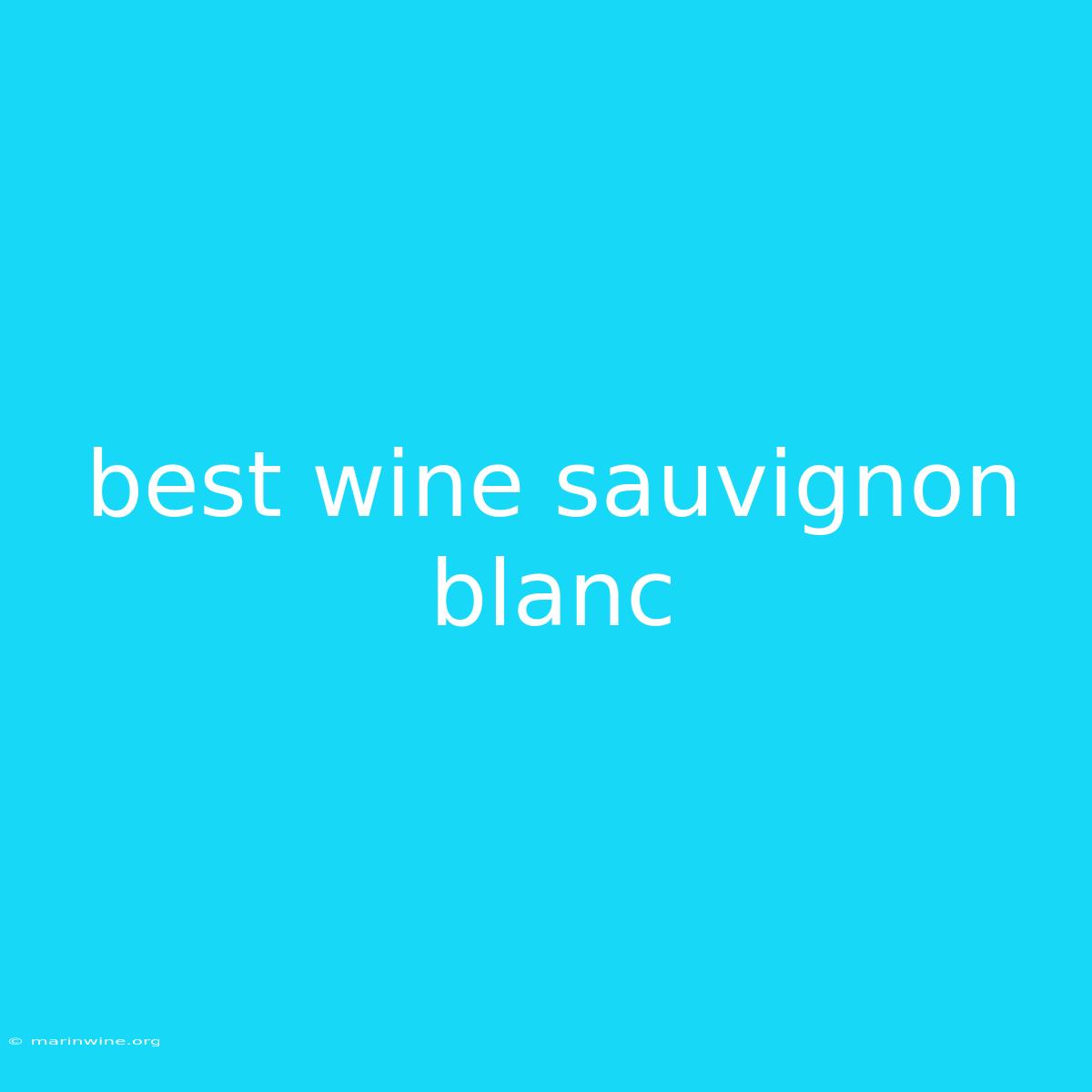 Best Wine Sauvignon Blanc