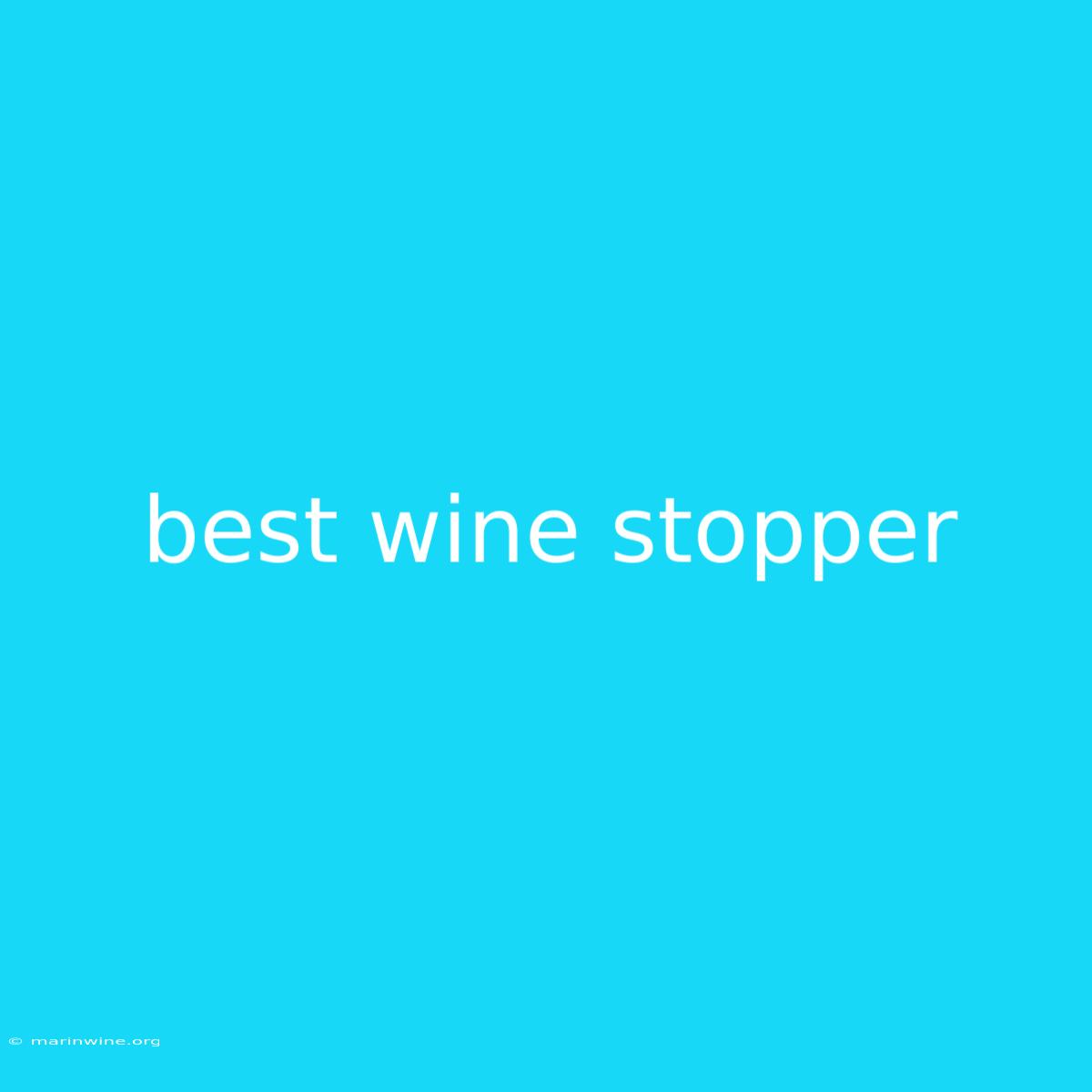 Best Wine Stopper