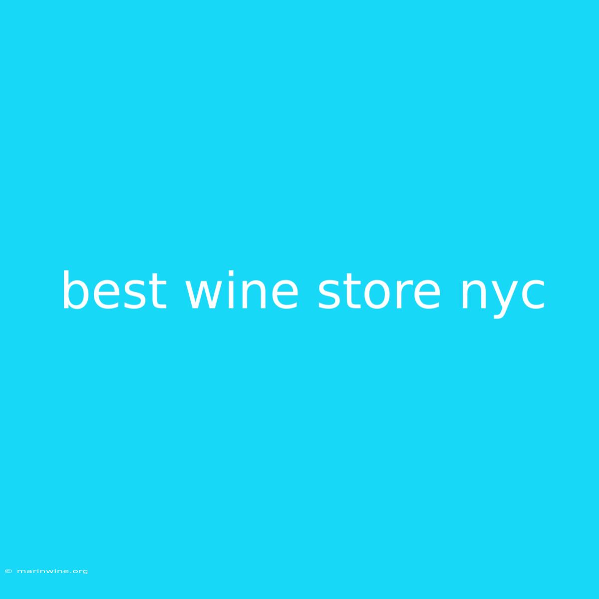 Best Wine Store Nyc