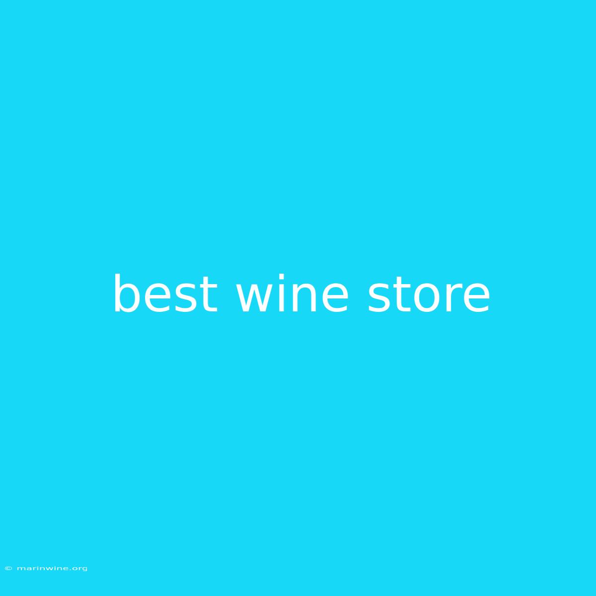 Best Wine Store