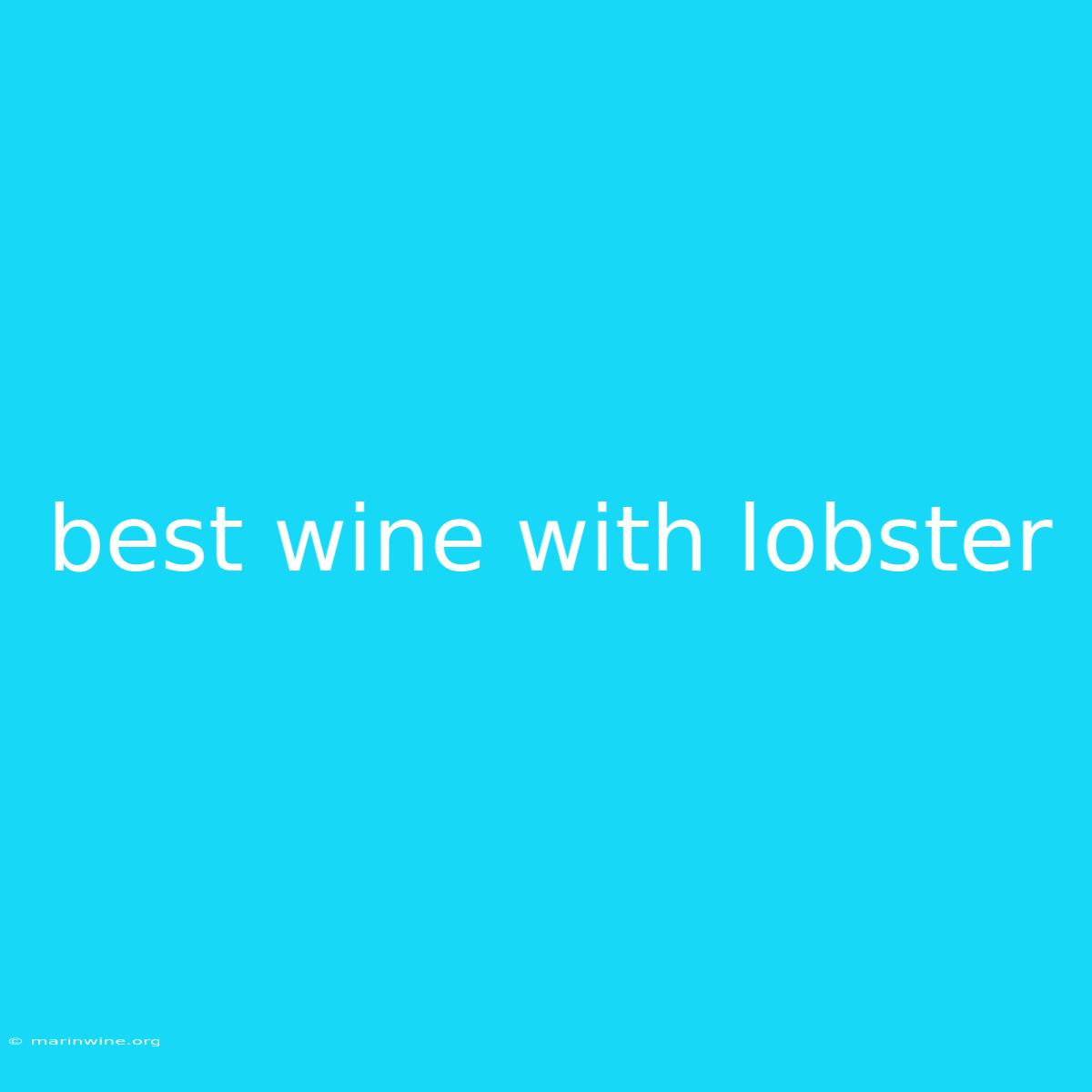 Best Wine With Lobster