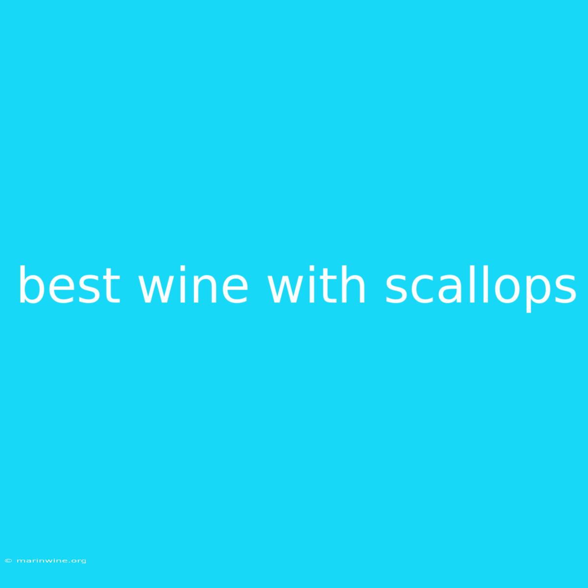 Best Wine With Scallops