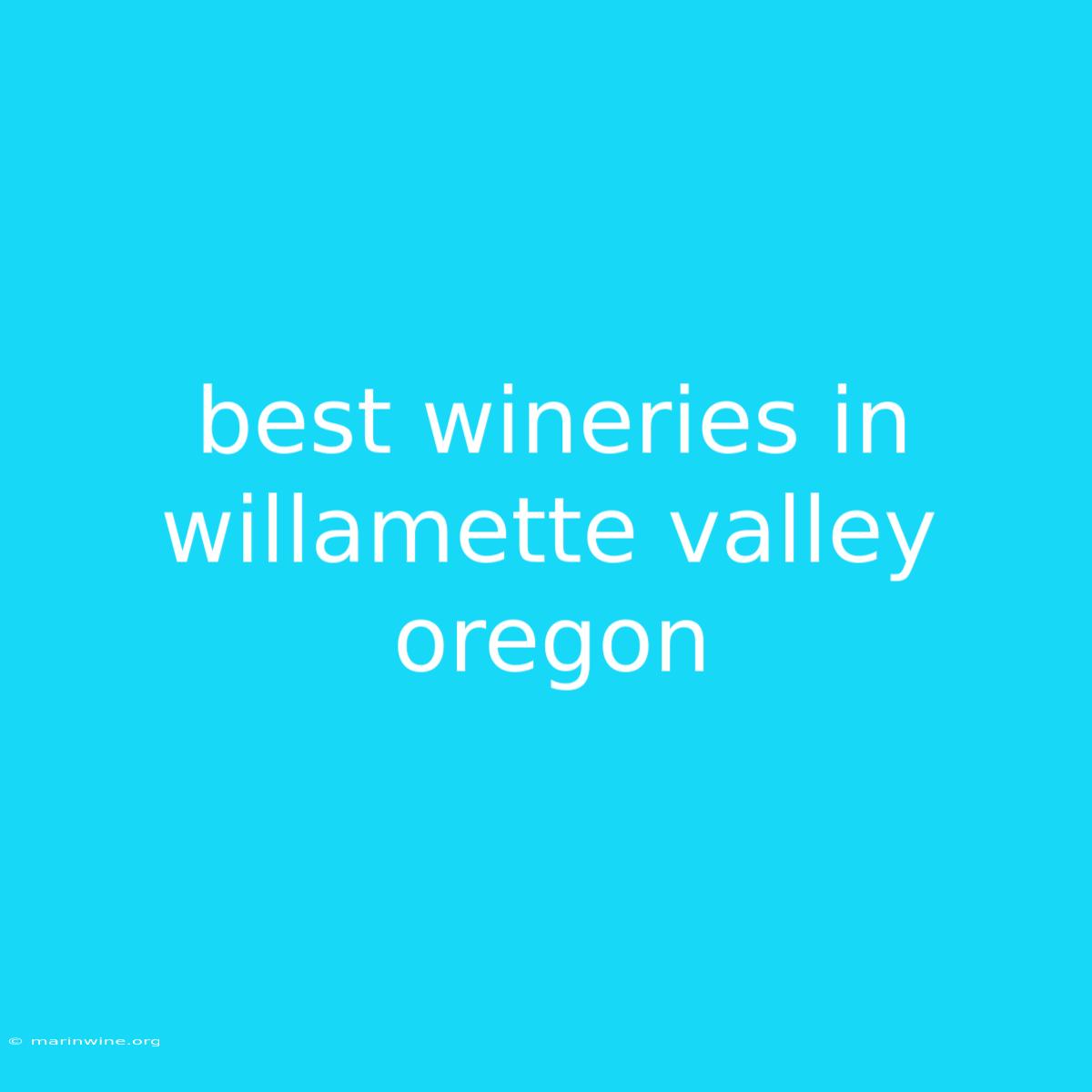 Best Wineries In Willamette Valley Oregon