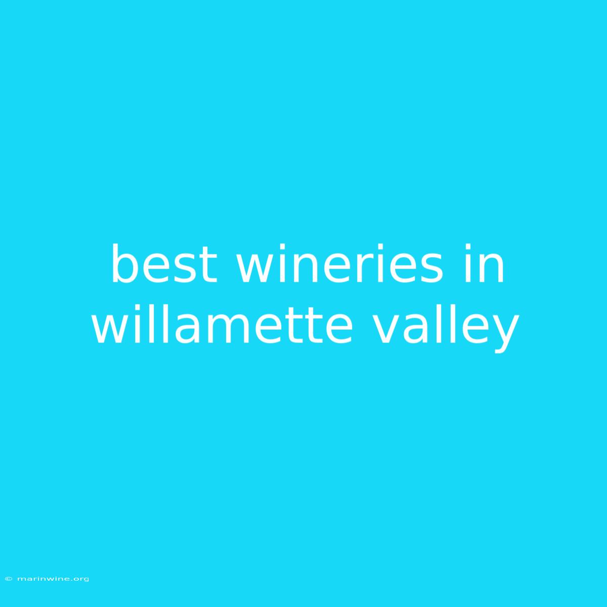 Best Wineries In Willamette Valley