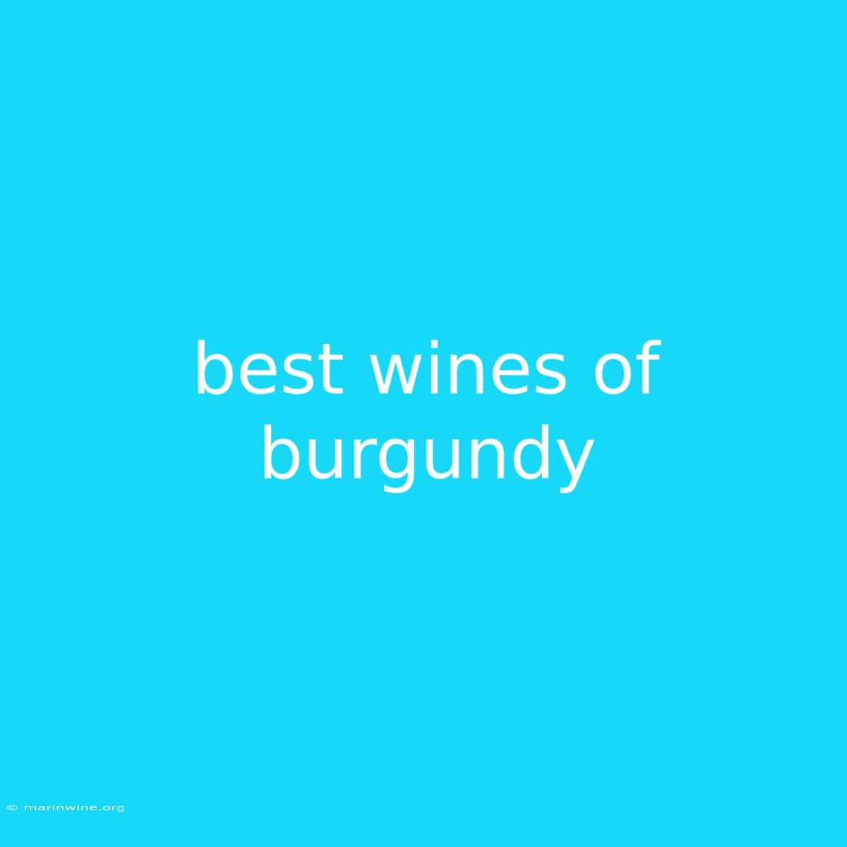 Best Wines Of Burgundy