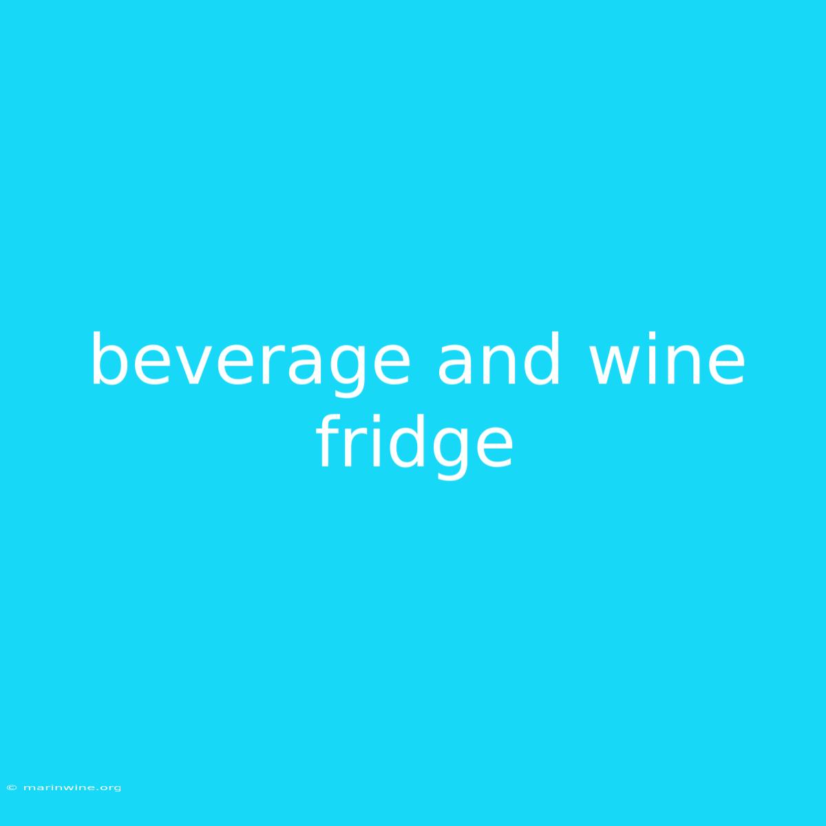 Beverage And Wine Fridge