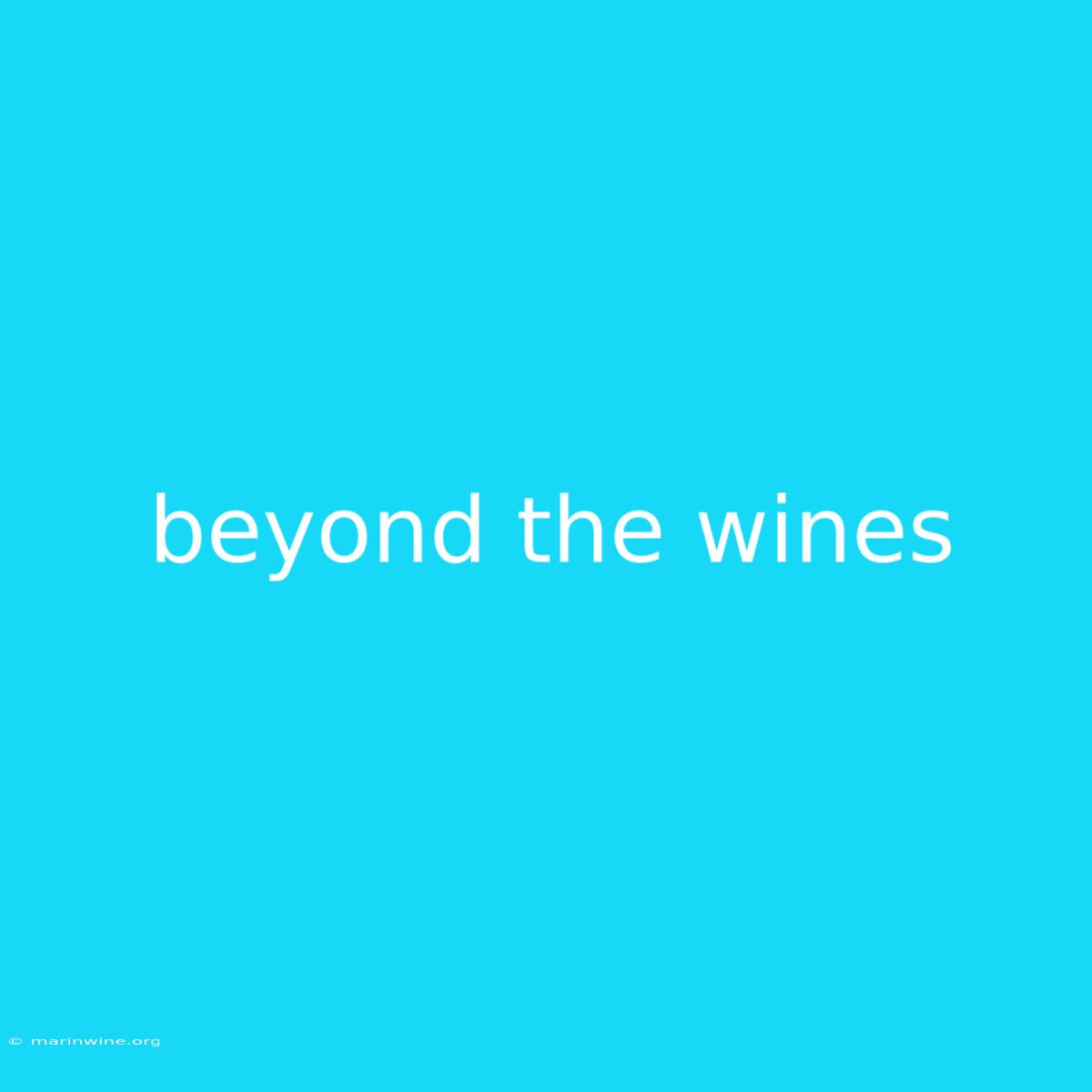 Beyond The Wines