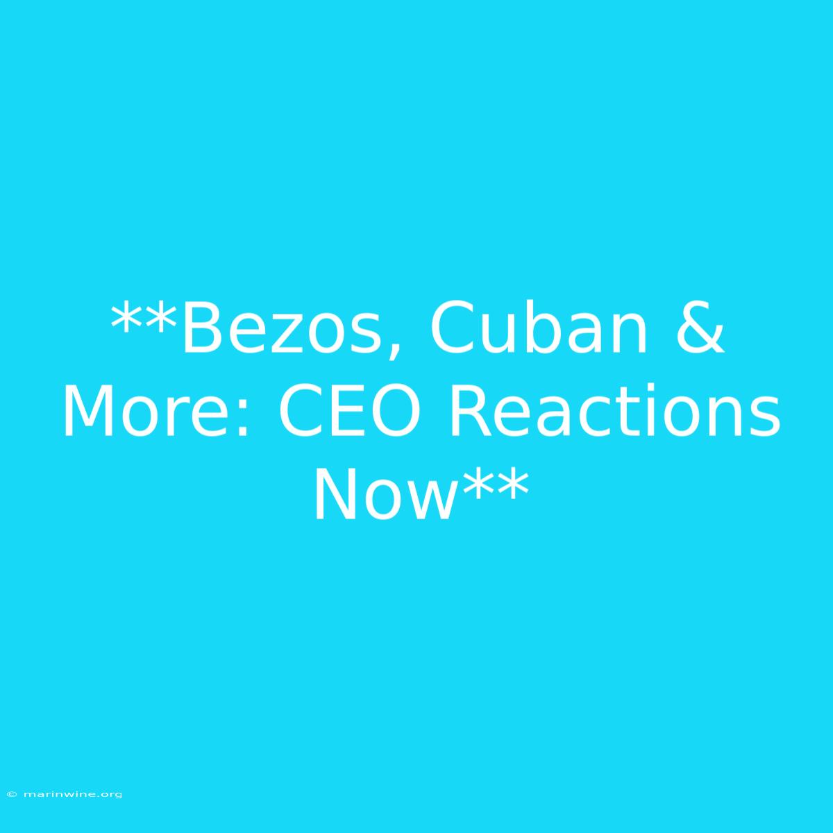 **Bezos, Cuban & More: CEO Reactions Now** 