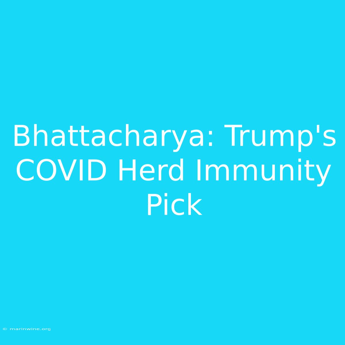 Bhattacharya: Trump's COVID Herd Immunity Pick