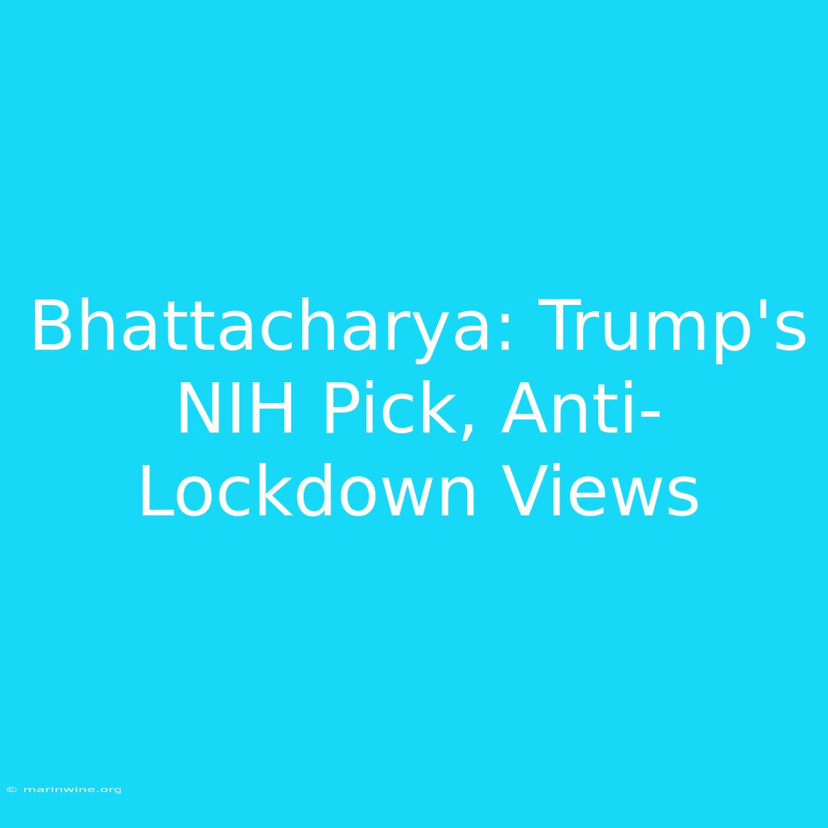 Bhattacharya: Trump's NIH Pick, Anti-Lockdown Views