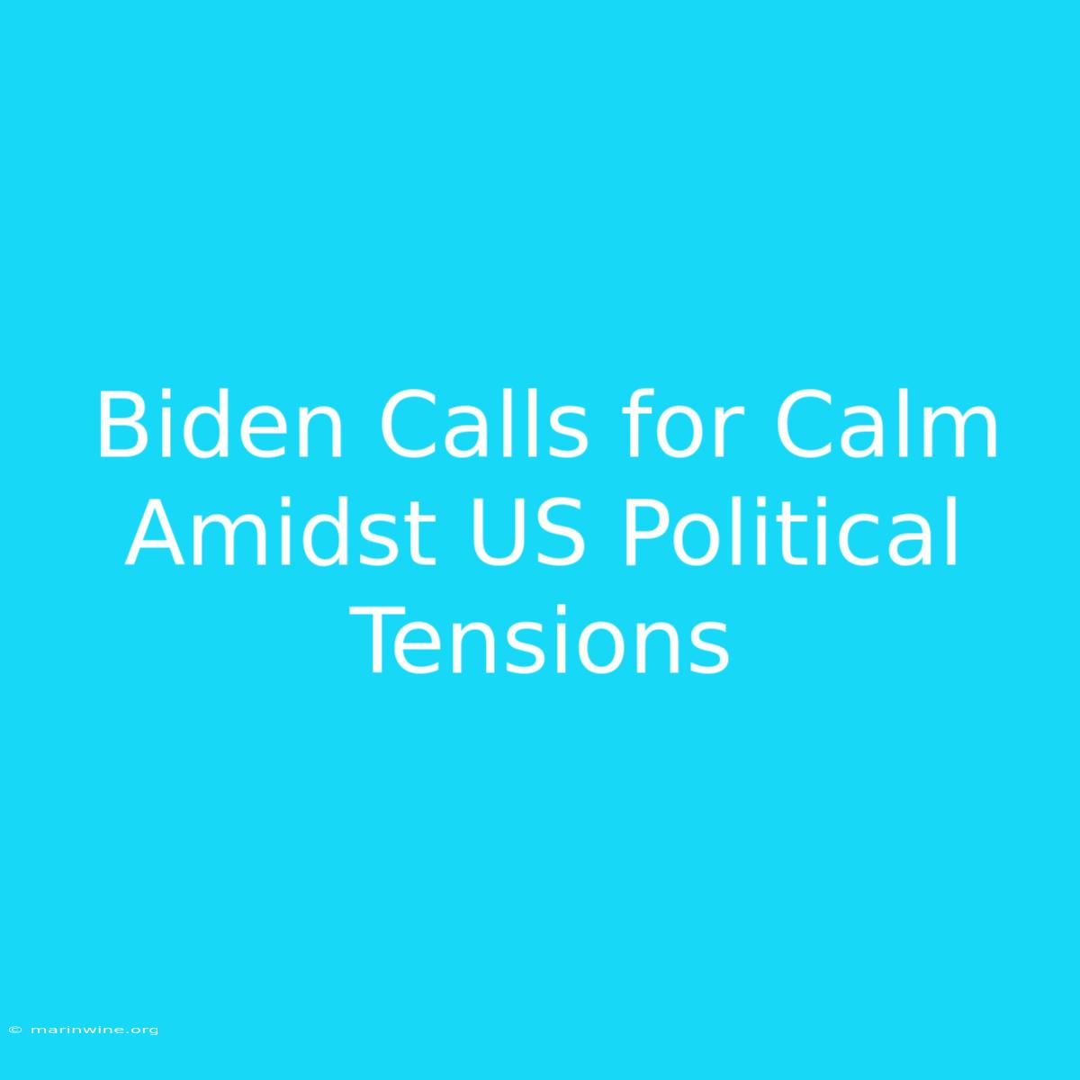 Biden Calls For Calm Amidst US Political Tensions