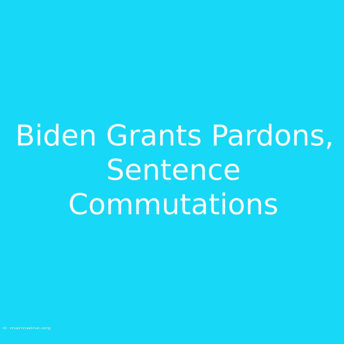 Biden Grants Pardons, Sentence Commutations