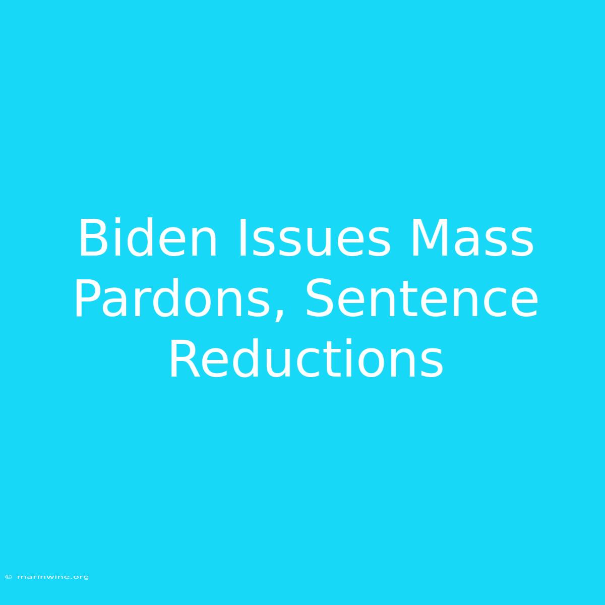 Biden Issues Mass Pardons, Sentence Reductions