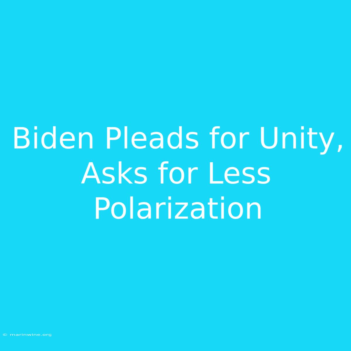 Biden Pleads For Unity, Asks For Less Polarization 