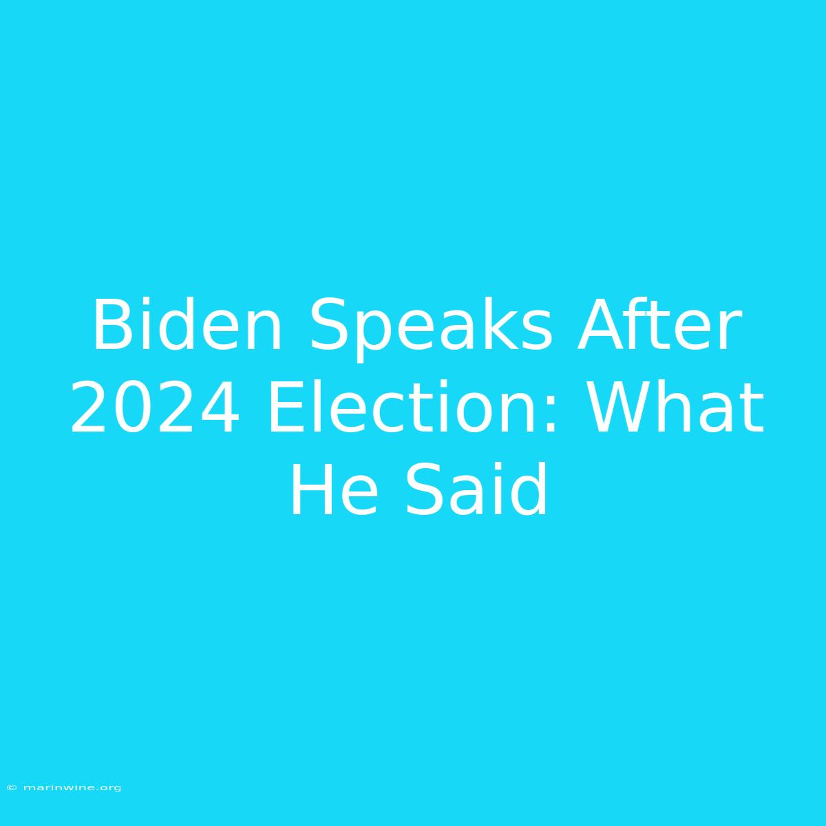 Biden Speaks After 2024 Election: What He Said