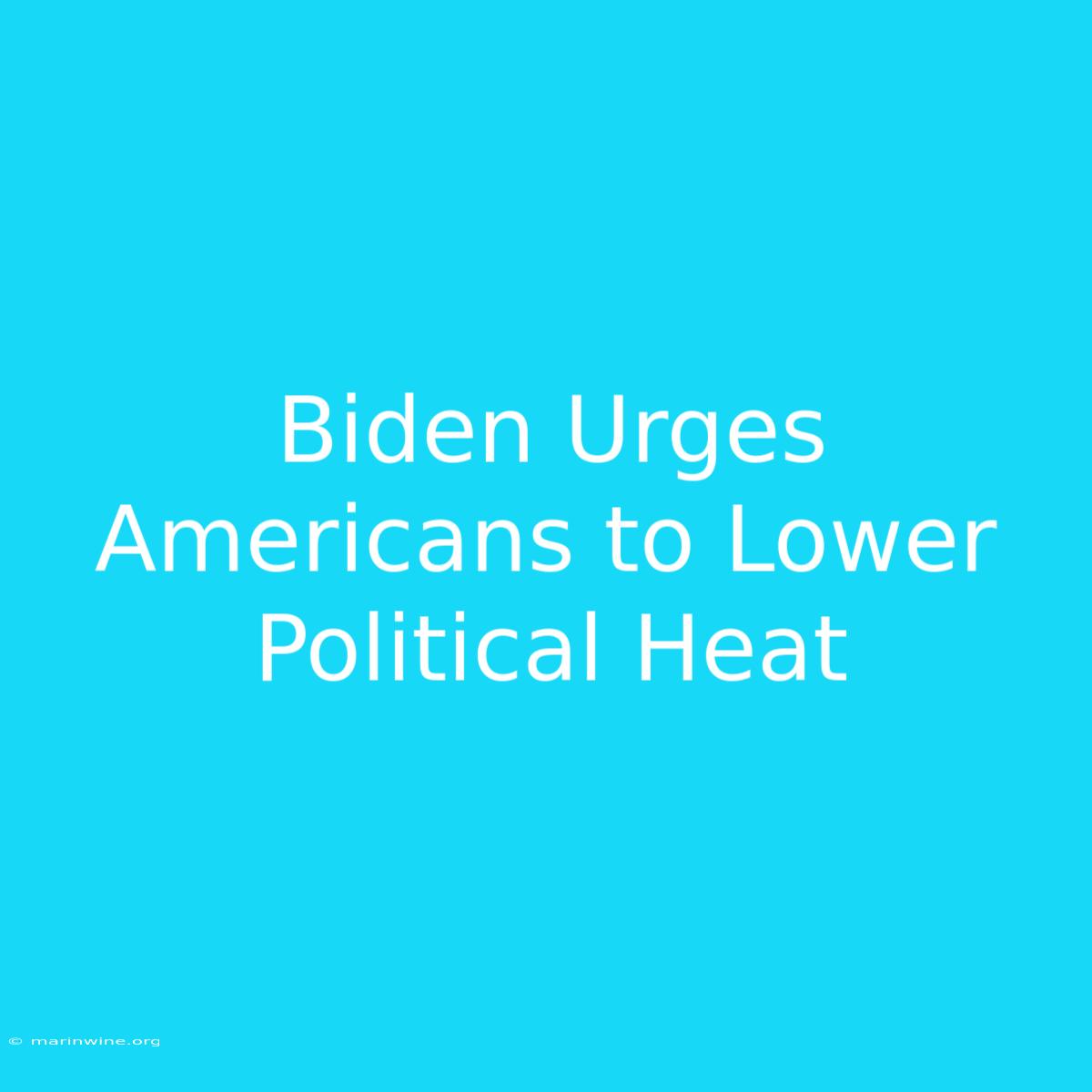 Biden Urges Americans To Lower Political Heat