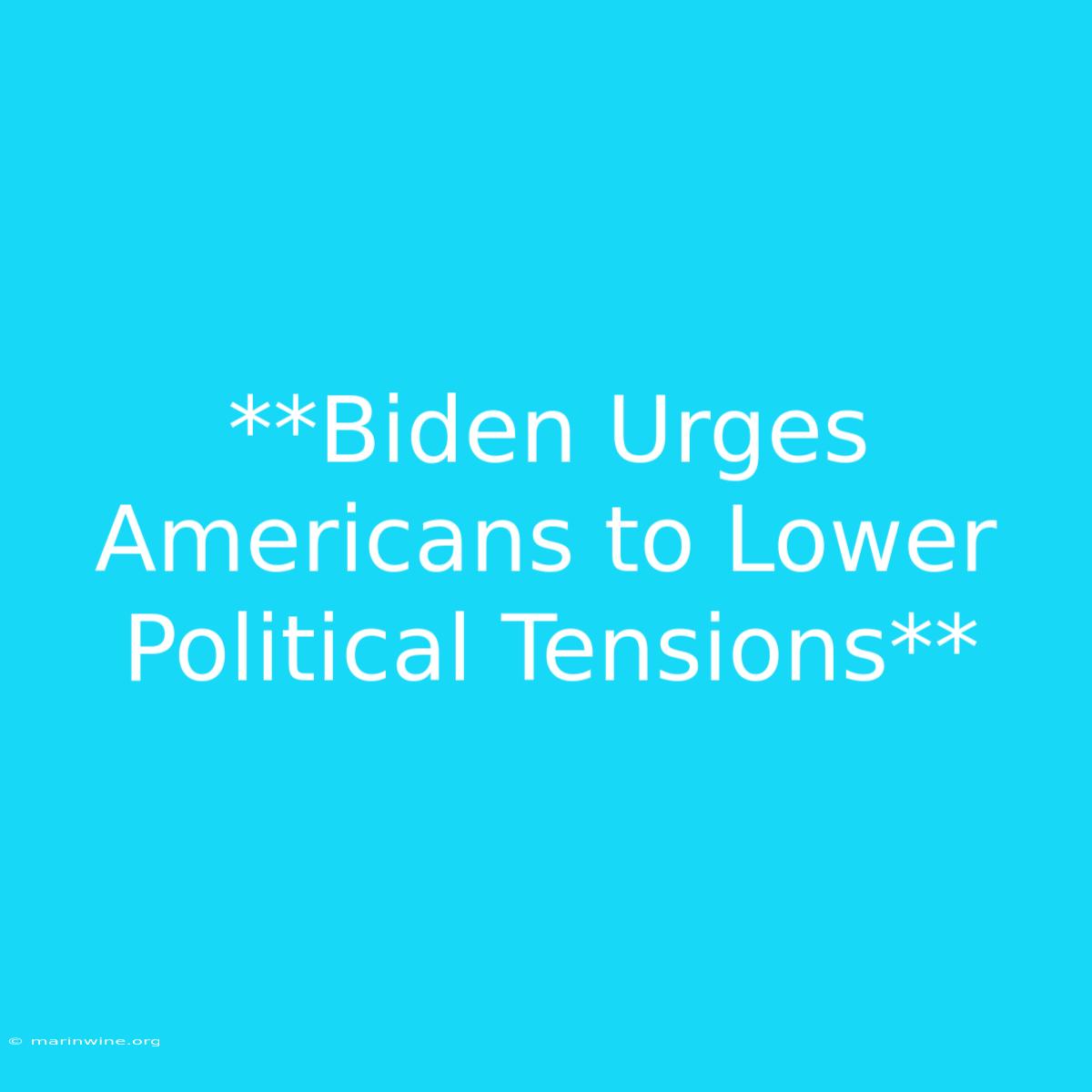 **Biden Urges Americans To Lower Political Tensions**