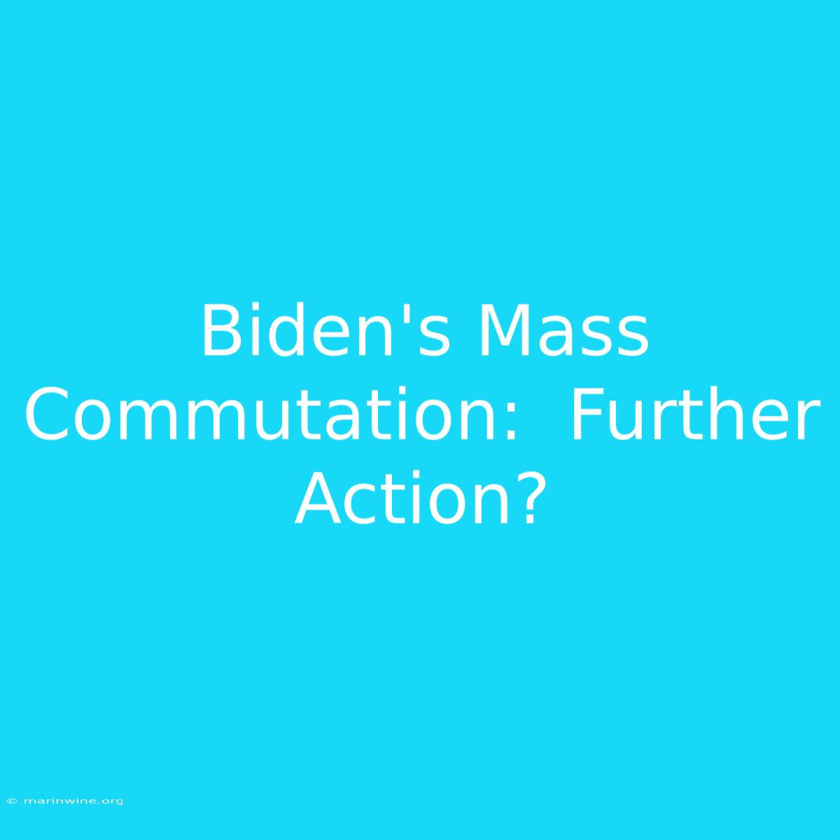 Biden's Mass Commutation:  Further Action?