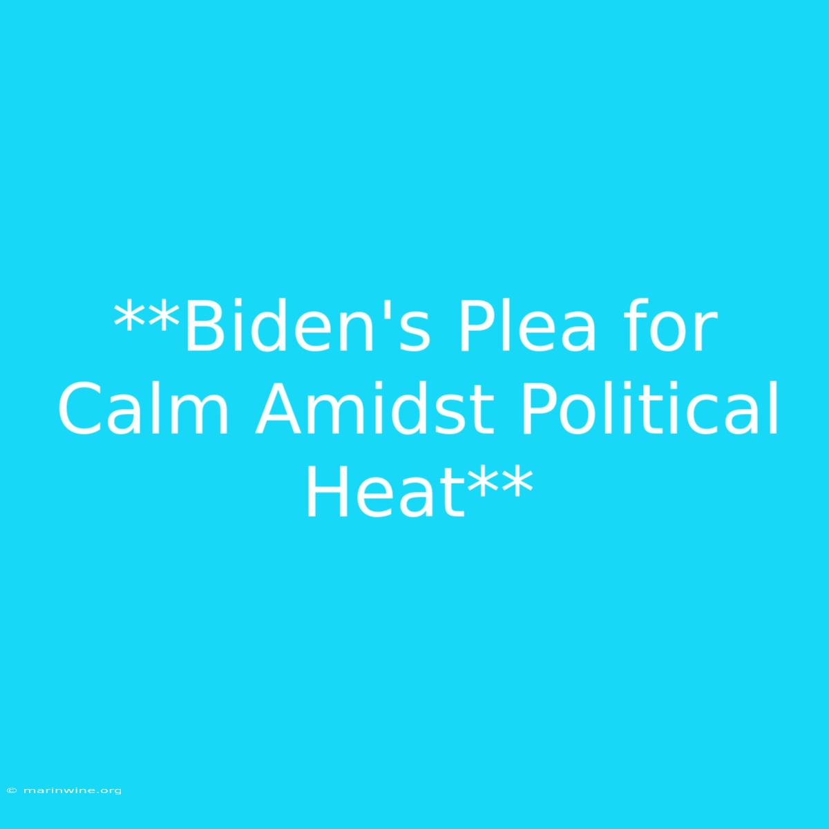 **Biden's Plea For Calm Amidst Political Heat** 