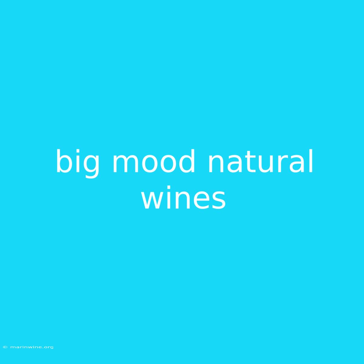 Big Mood Natural Wines