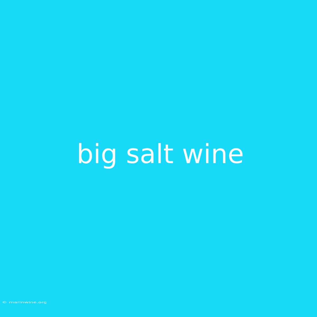 Big Salt Wine