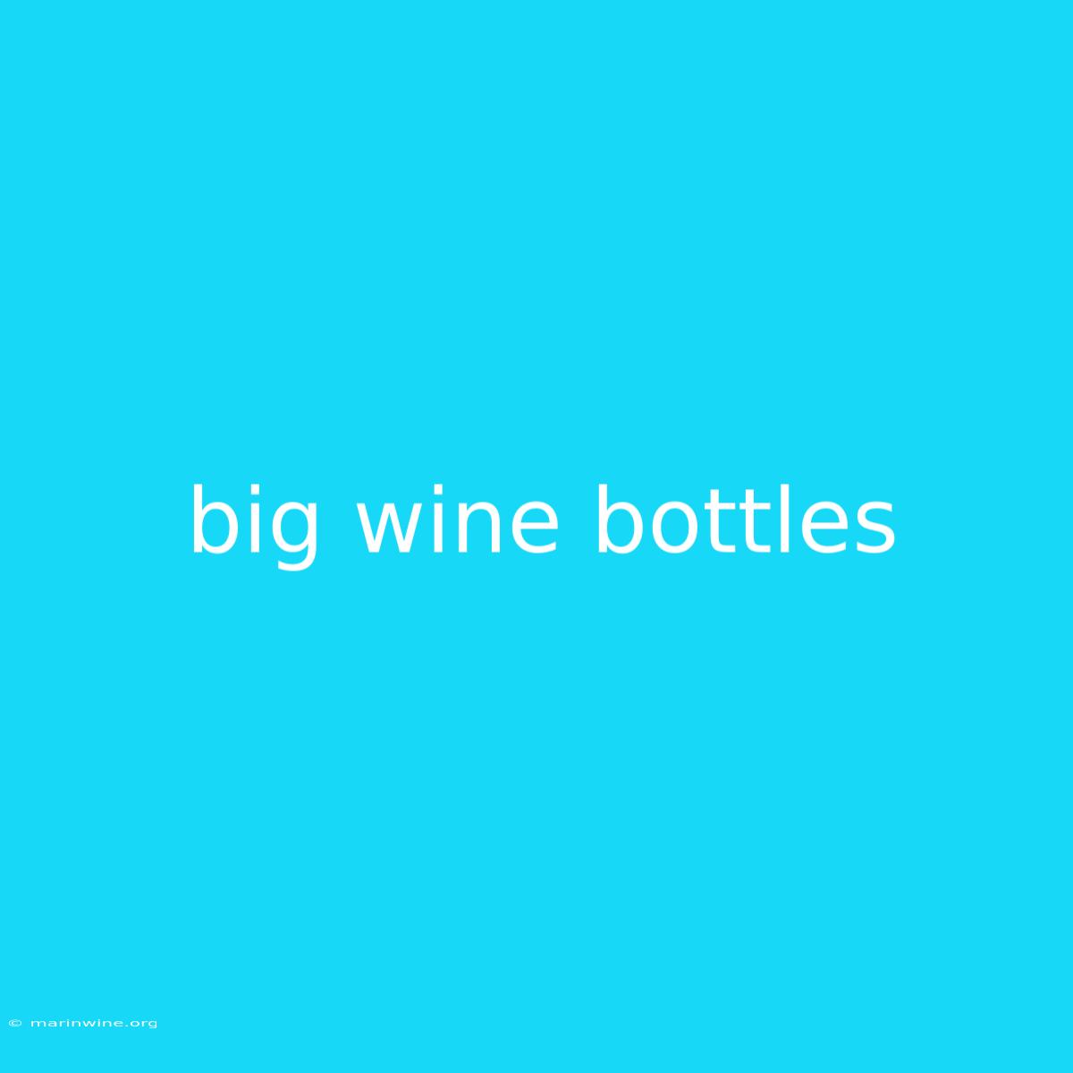 Big Wine Bottles