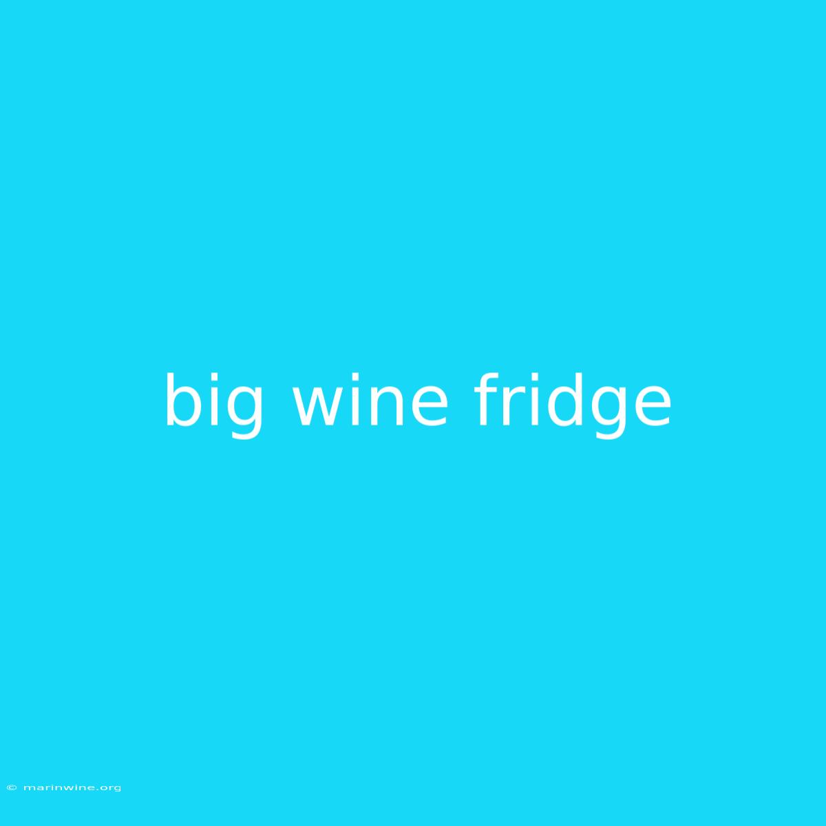 Big Wine Fridge