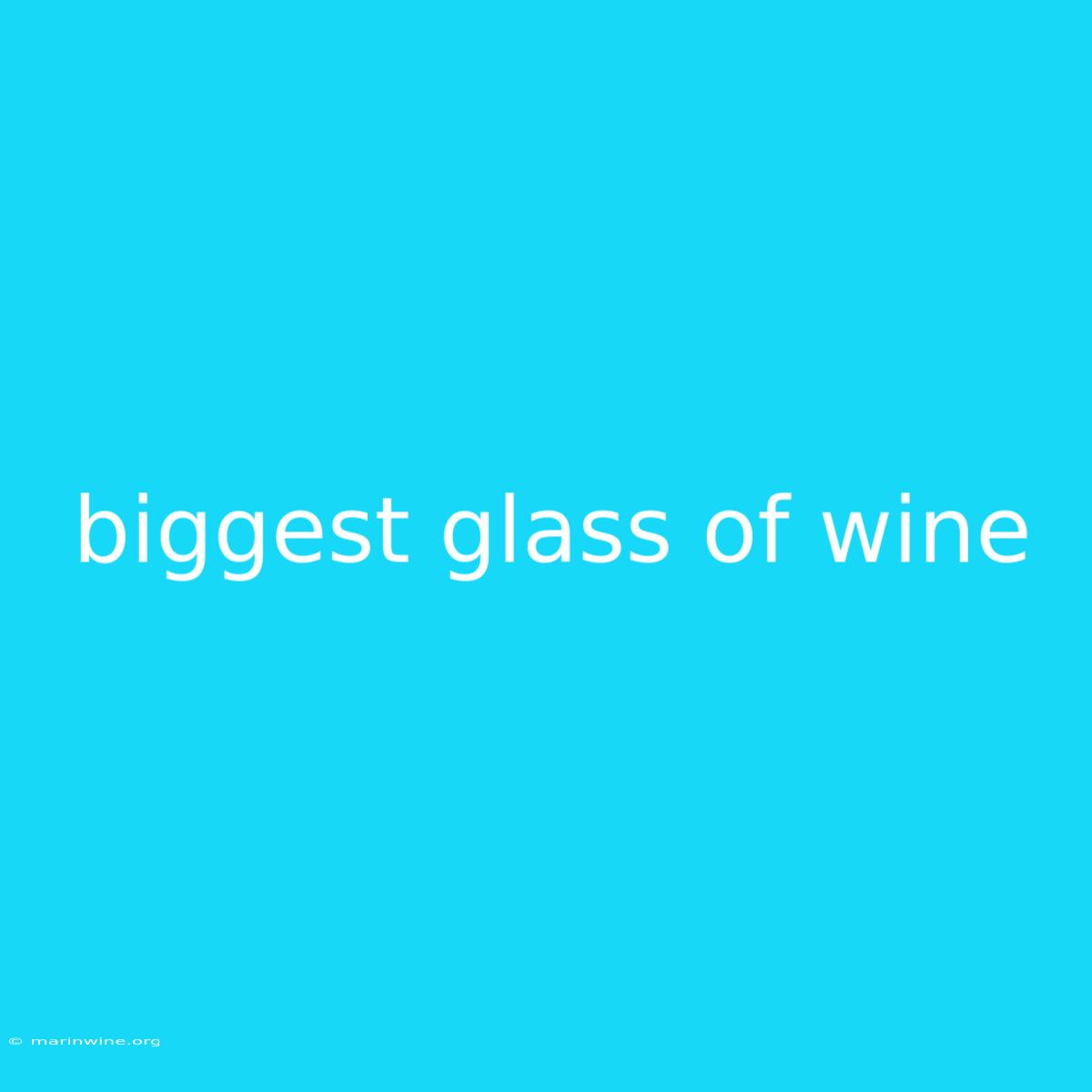 Biggest Glass Of Wine