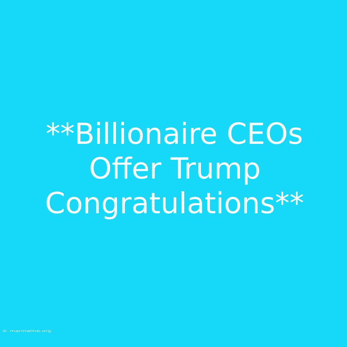 **Billionaire CEOs Offer Trump Congratulations** 