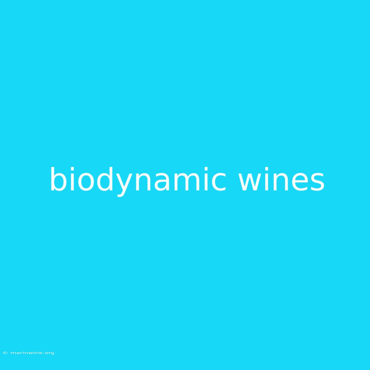 Biodynamic Wines