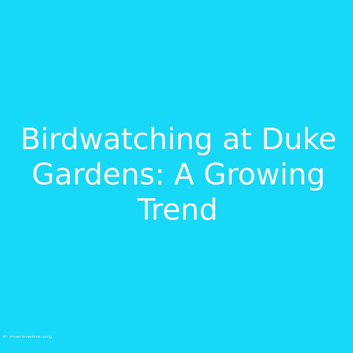 Birdwatching At Duke Gardens: A Growing Trend