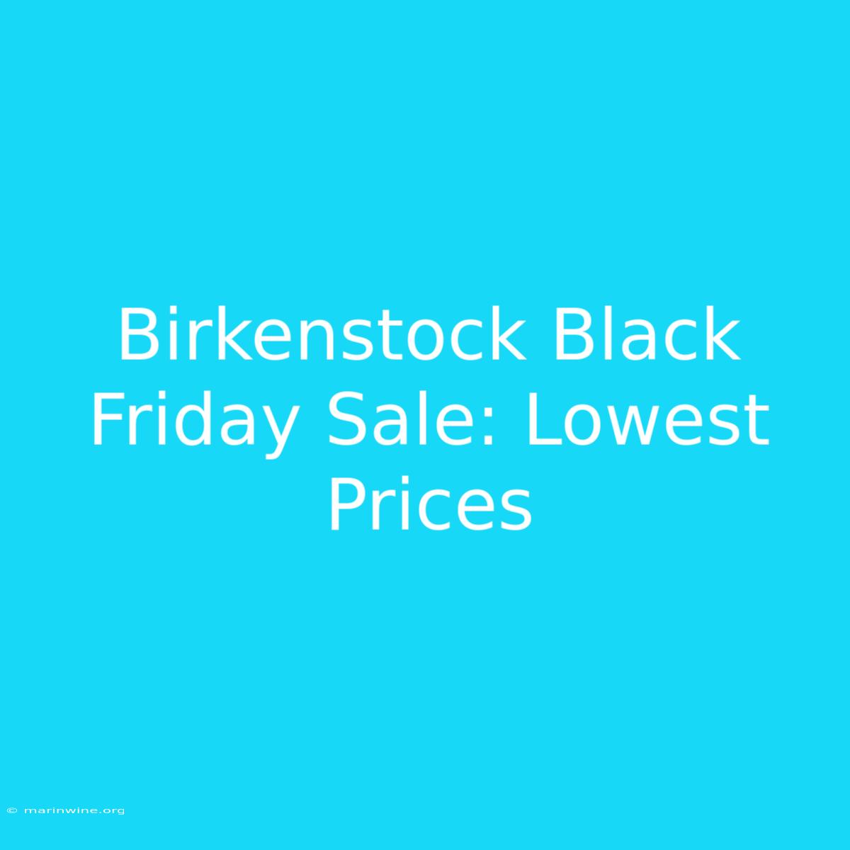 Birkenstock Black Friday Sale: Lowest Prices