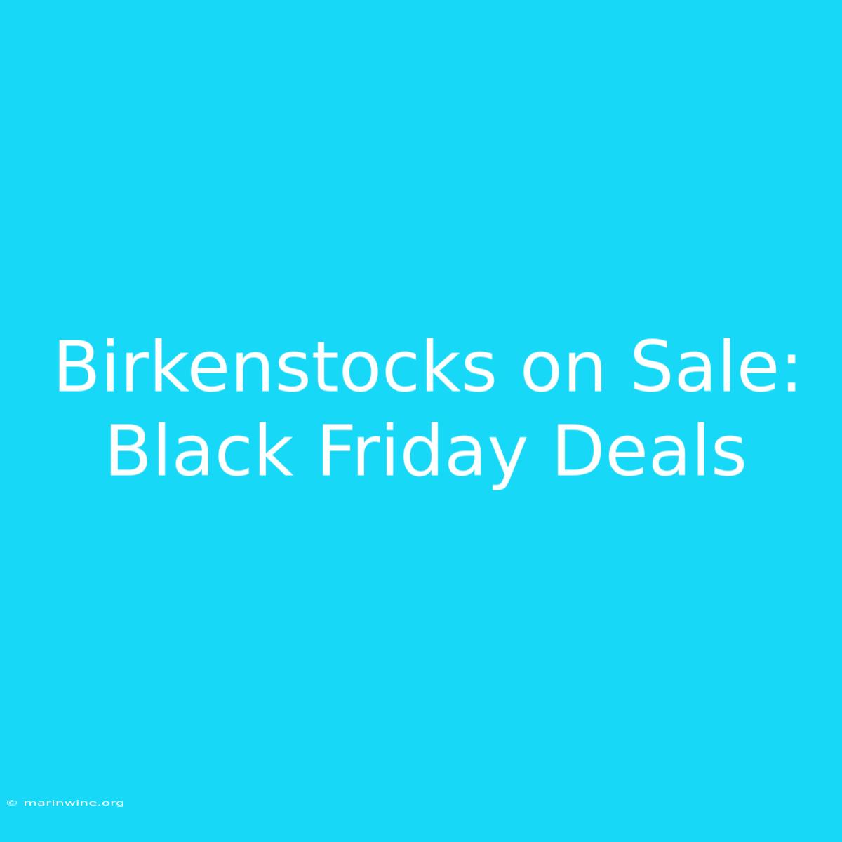 Birkenstocks On Sale: Black Friday Deals