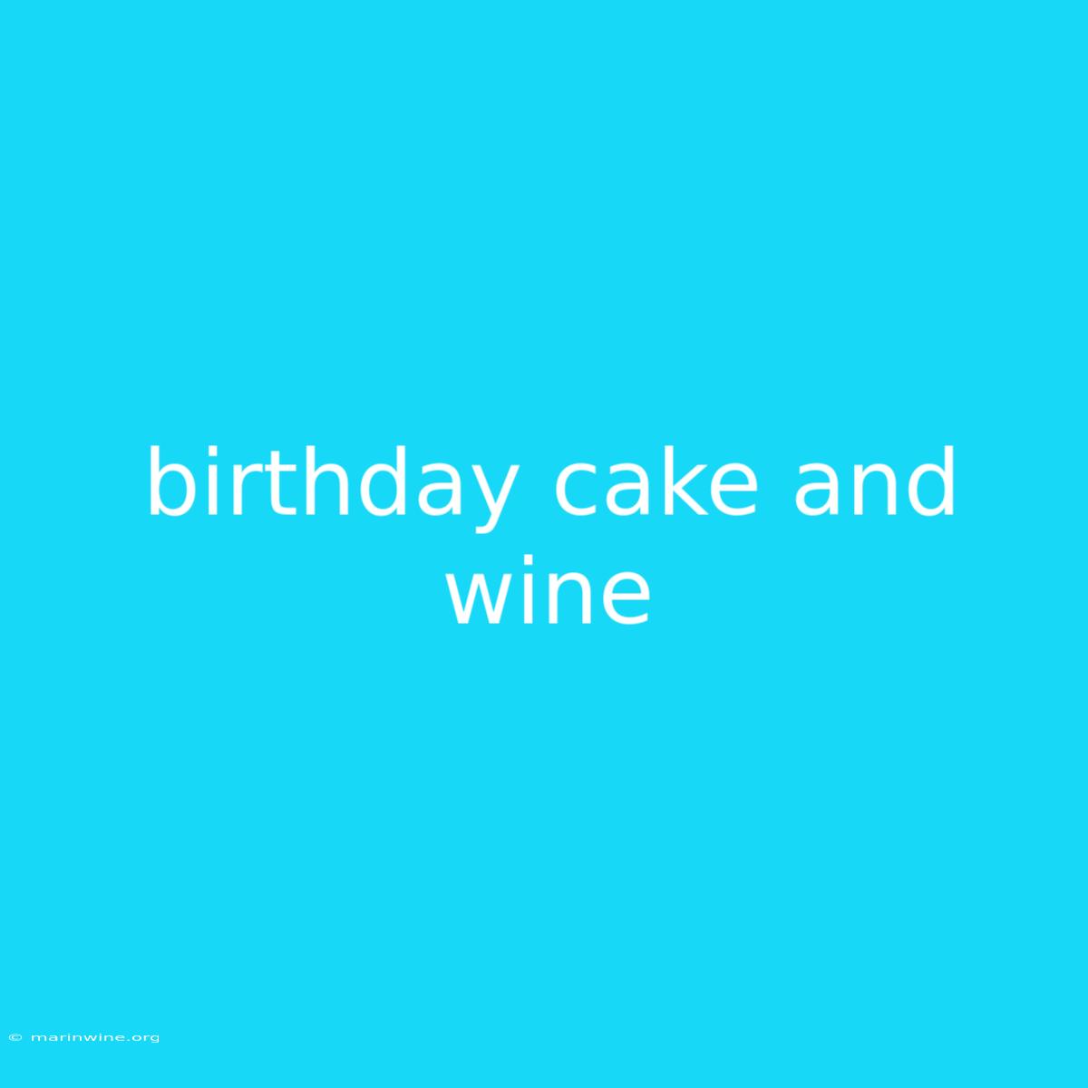 Birthday Cake And Wine