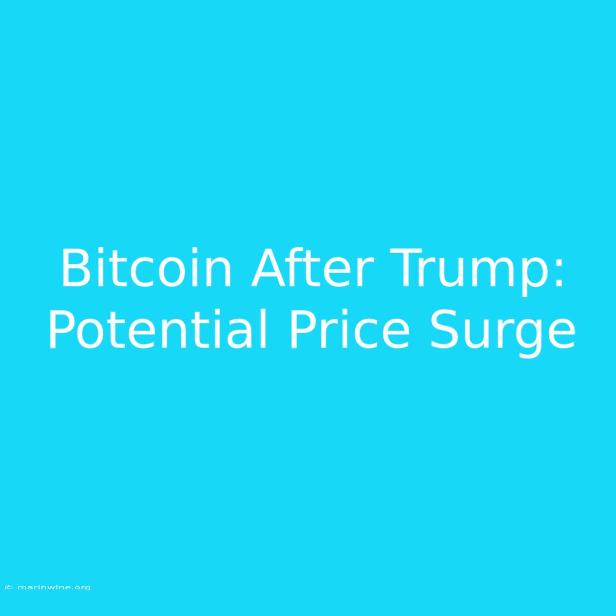 Bitcoin After Trump: Potential Price Surge