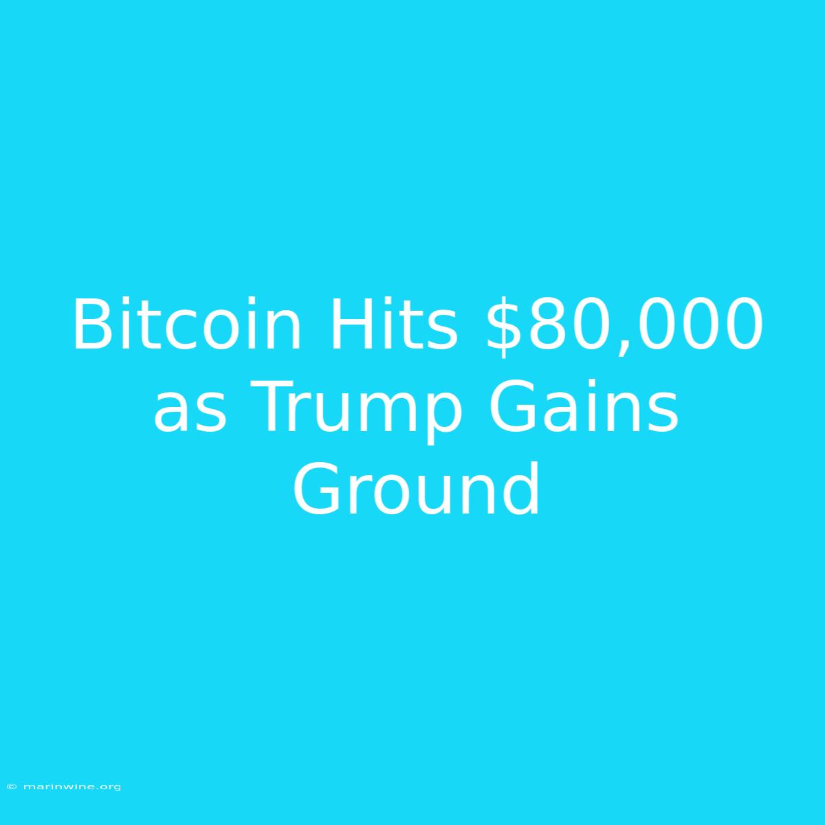 Bitcoin Hits $80,000 As Trump Gains Ground