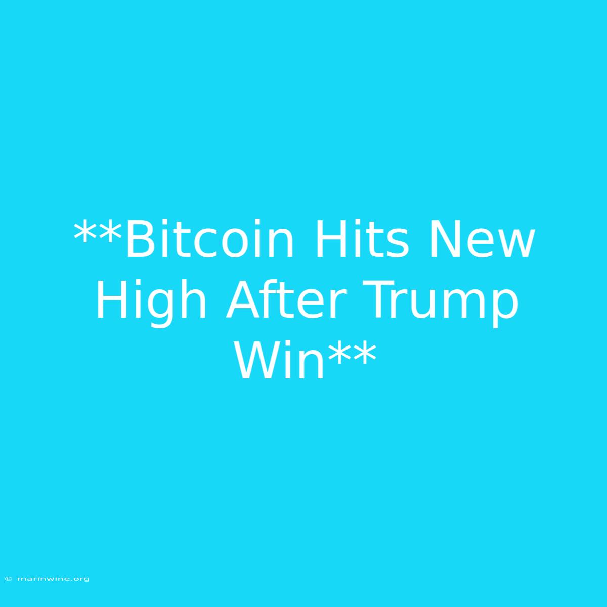 **Bitcoin Hits New High After Trump Win**