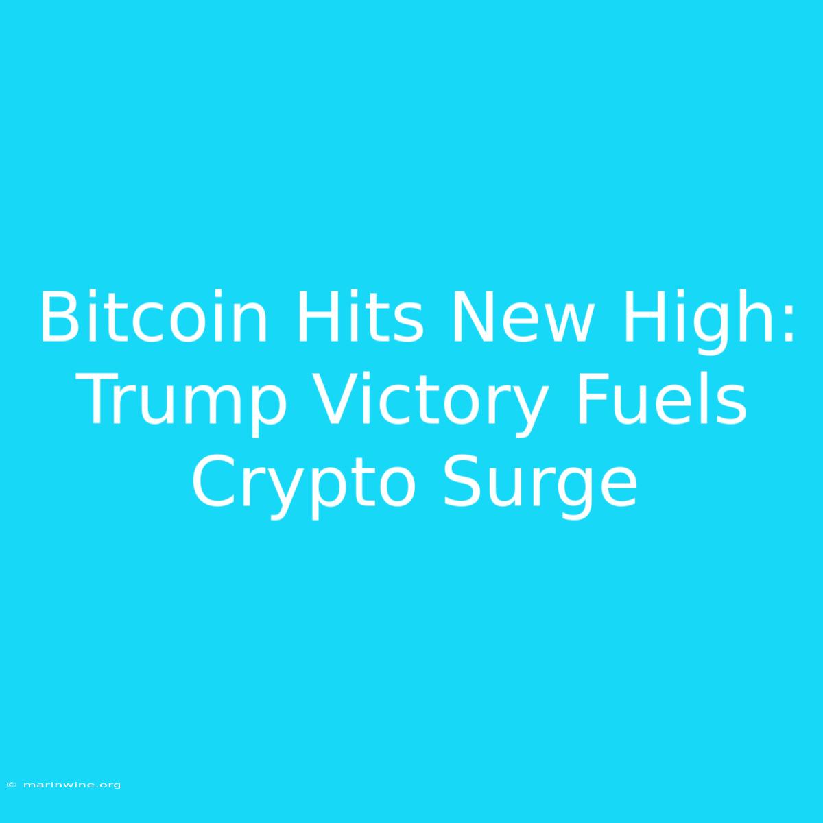 Bitcoin Hits New High: Trump Victory Fuels Crypto Surge 