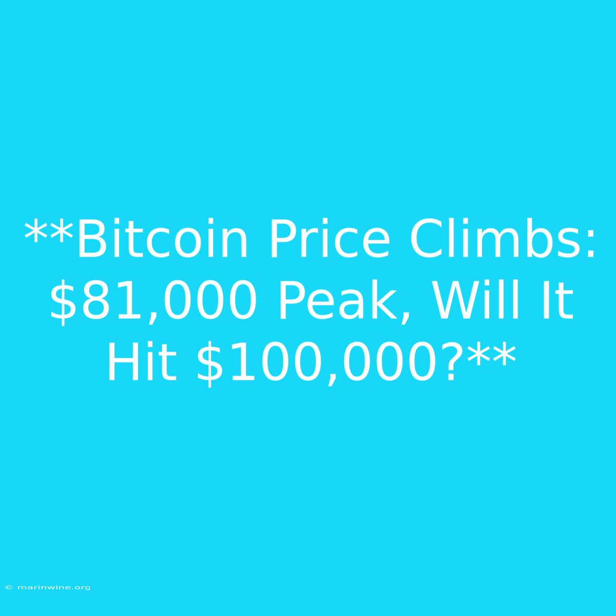 **Bitcoin Price Climbs: $81,000 Peak, Will It Hit $100,000?** 