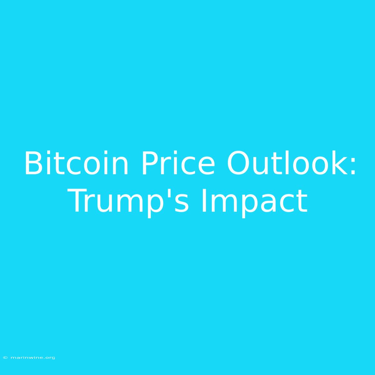 Bitcoin Price Outlook: Trump's Impact 